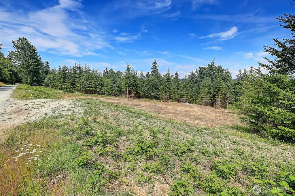 1 Triangle Cove Lane Camano Island WA 98282