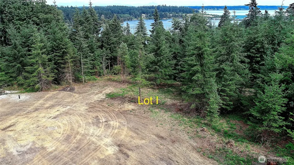 1 Triangle Cove Lane Camano Island WA 98282