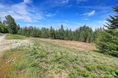 1 Triangle Cove Lane Camano Island WA 98282