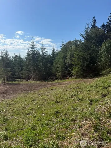 1 Triangle Cove Lane Camano Island WA 98282