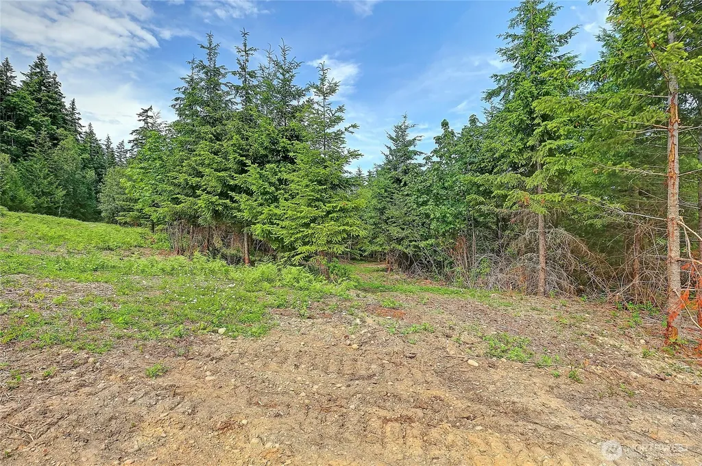 1 Triangle Cove Lane Camano Island WA 98282