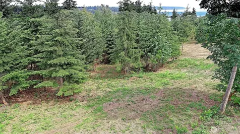 1 Triangle Cove Lane Camano Island WA 98282