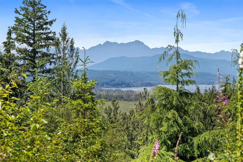 1471 E Webb Hill Road Union WA 98592
