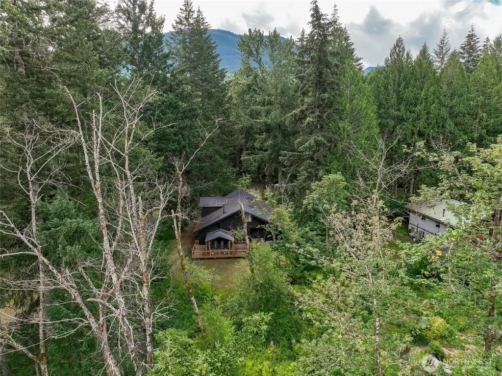 163 Tatoosh View Drive Packwood WA 98361
