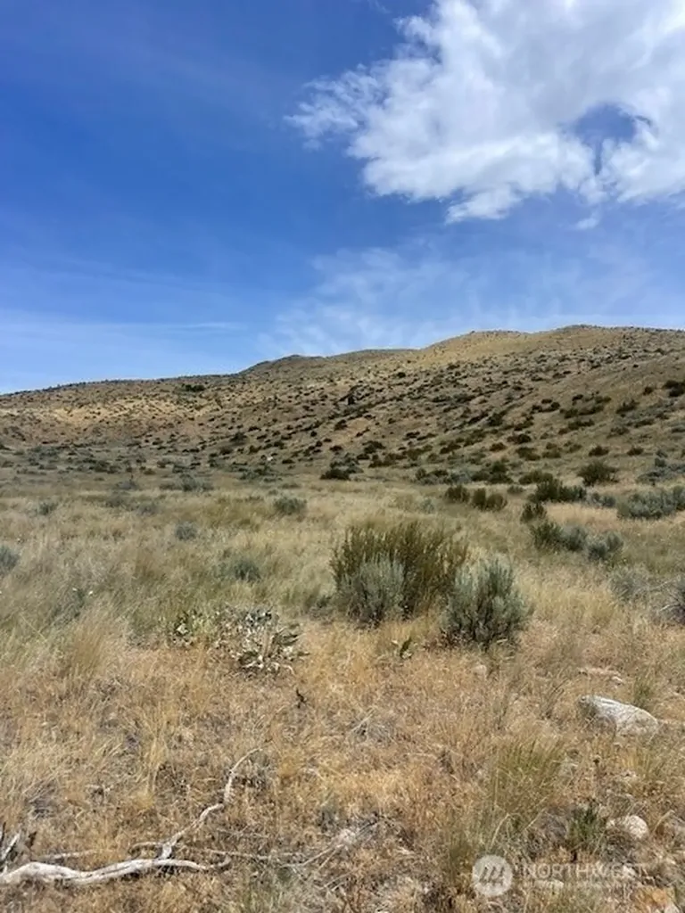 410 Bill Shaw Road Pateros WA 98846