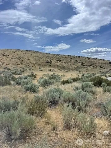 410 Bill Shaw Road Pateros WA 98846