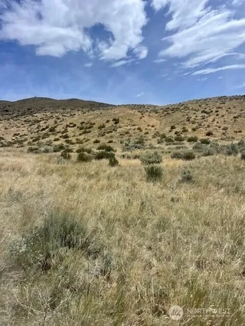 410 Bill Shaw Road Pateros WA 98846