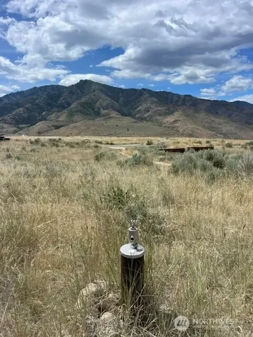 0 Lot 1, Bill Shaw Road Pateros WA 98846