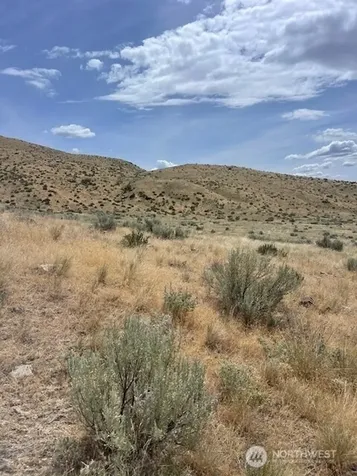 0 Lot 1, Bill Shaw Road Pateros WA 98846