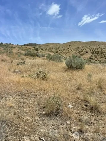 0 Lot 1, Bill Shaw Road Pateros WA 98846