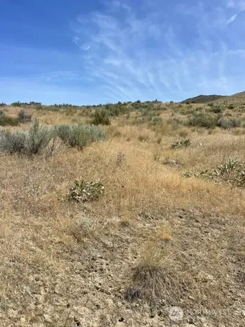 0 Lot 1, Bill Shaw Road Pateros WA 98846
