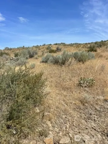 0 Lot 1, Bill Shaw Road Pateros WA 98846