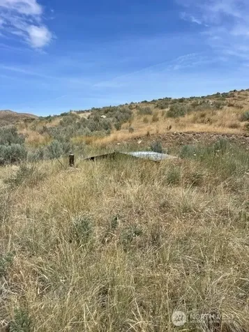 0 Lot 1, Bill Shaw Road Pateros WA 98846