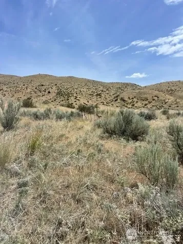 0 Lot 1, Bill Shaw Road Pateros WA 98846