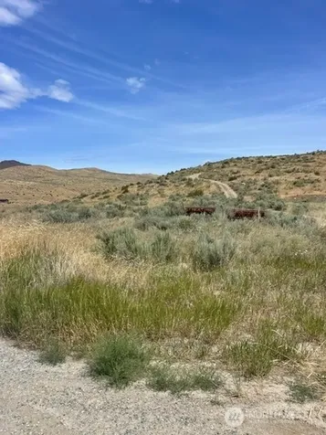 0 Lot 1, Bill Shaw Road Pateros WA 98846