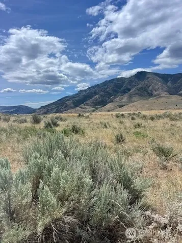 0 Lot 1, Bill Shaw Road Pateros WA 98846