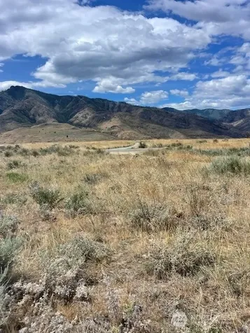 0 Lot 1, Bill Shaw Road Pateros WA 98846