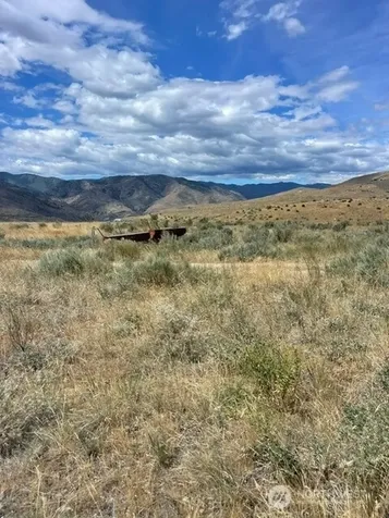 0 Lot 1, Bill Shaw Road Pateros WA 98846