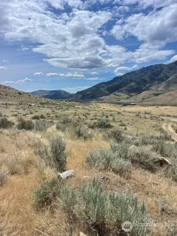 0 Lot 1, Bill Shaw Road Pateros WA 98846