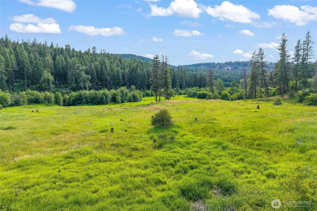 114 Sletten Way Colville WA 99114
