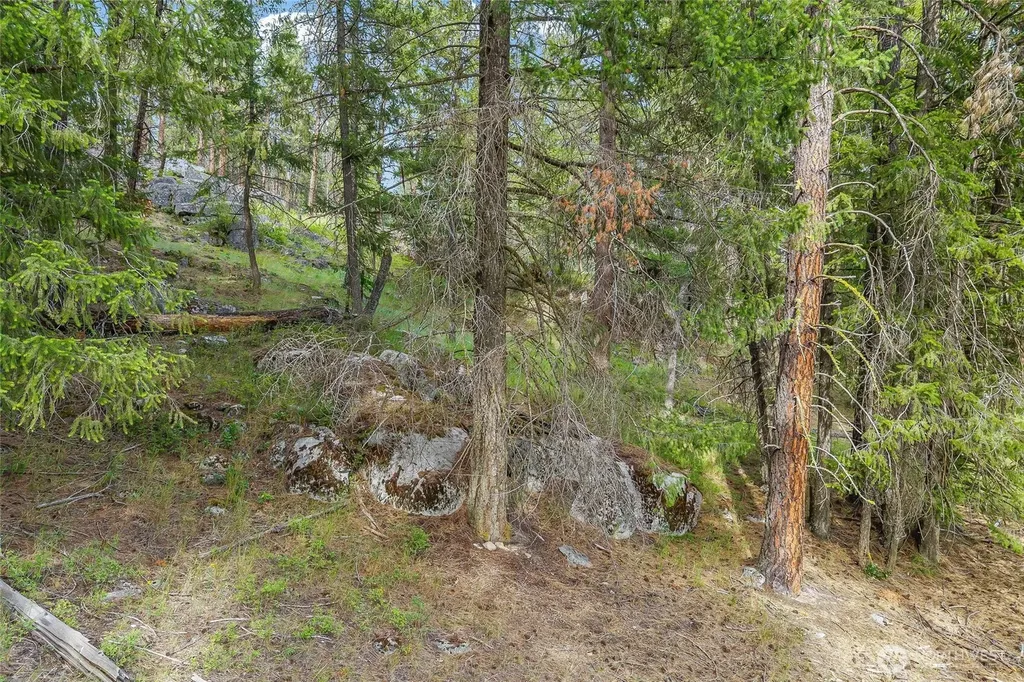 114 Sletten Way Colville WA 99114