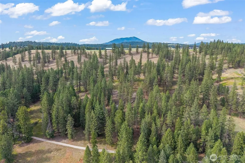 114 Sletten Way Colville WA 99114