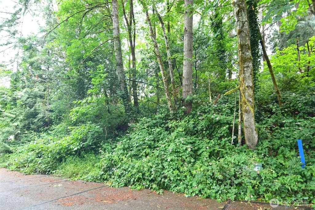 2428 Archwood Drive Longview WA 98632