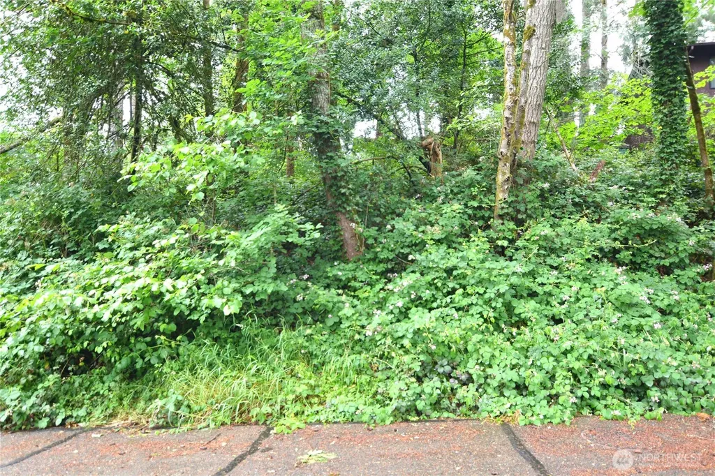 2428 Archwood Drive Longview WA 98632