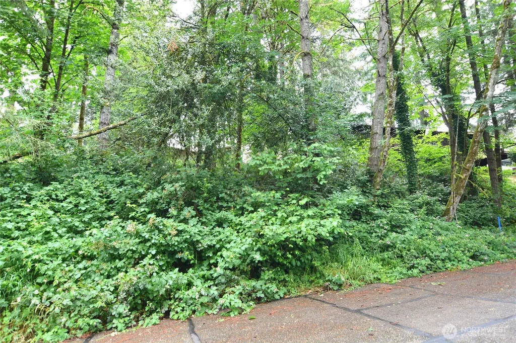 2428 Archwood Drive Longview WA 98632
