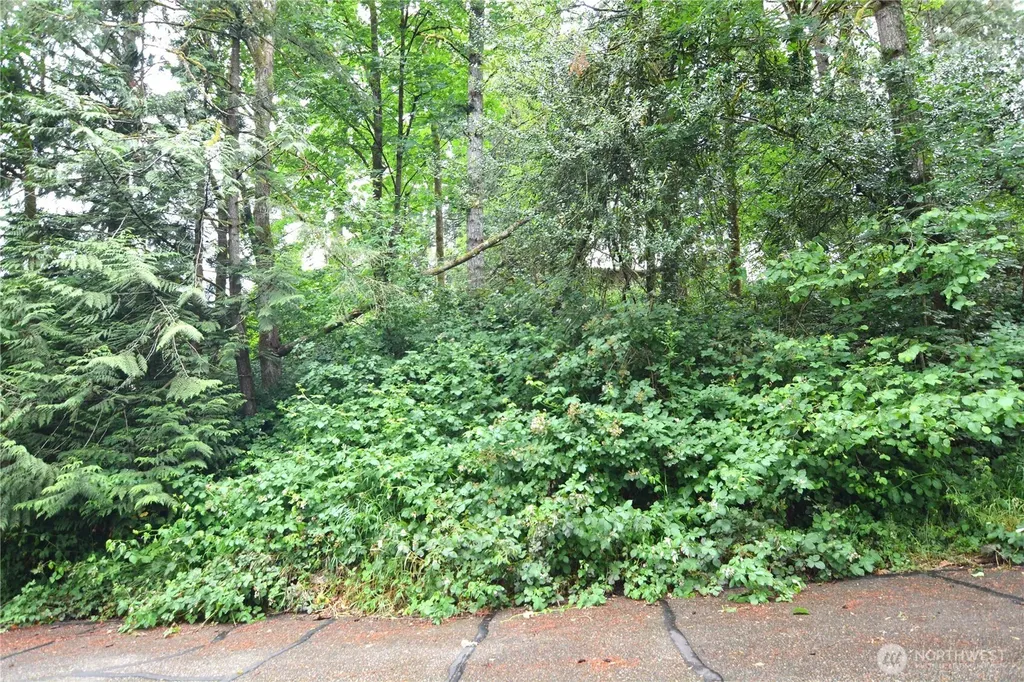 2428 Archwood Drive Longview WA 98632