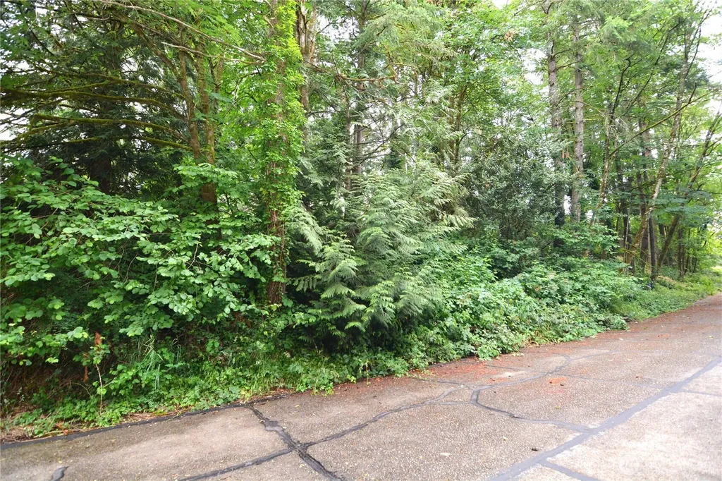 2428 Archwood Drive Longview WA 98632
