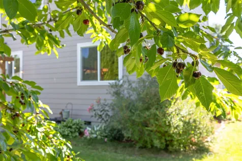 323 Wilson Lane Sumas WA 98295
