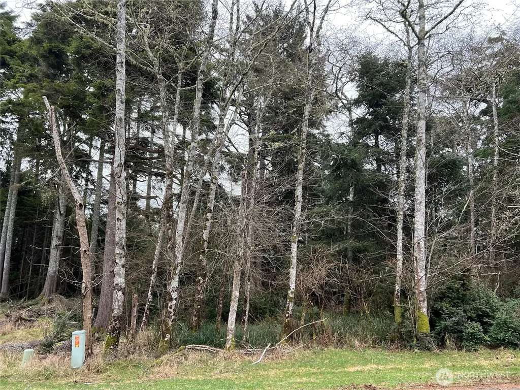 314 Lake View Loop NE Ocean Shores WA 98569