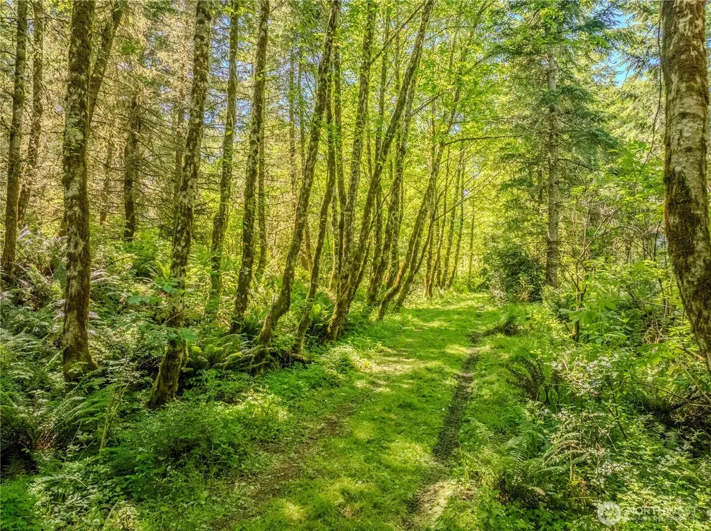0 Redstone Way Mount Vernon WA 98274