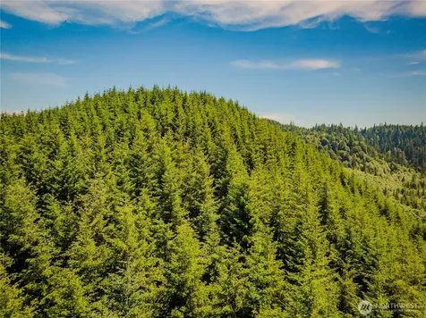 0 Redstone Way Mount Vernon WA 98274