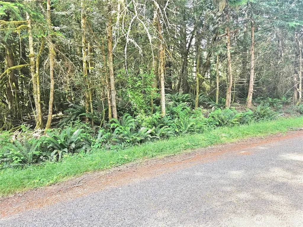 124 E Go Onna Drive Quilcene WA 98376