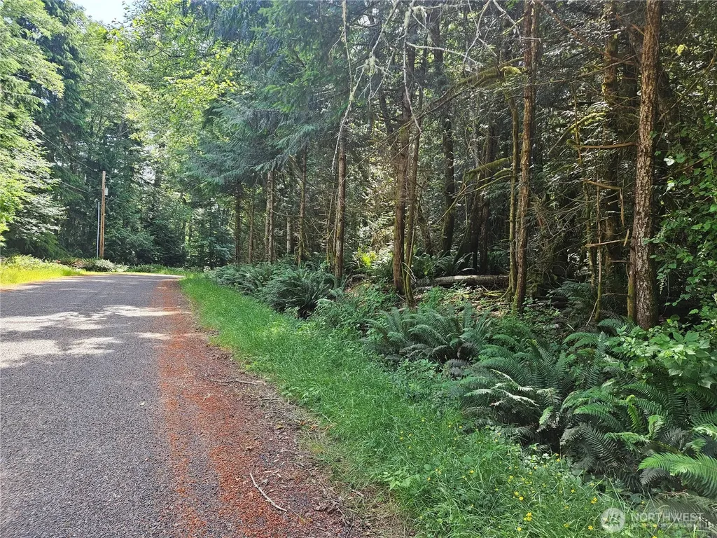 124 E Go Onna Drive Quilcene WA 98376