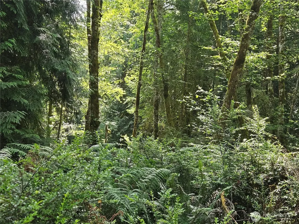 124 E Go Onna Drive Quilcene WA 98376