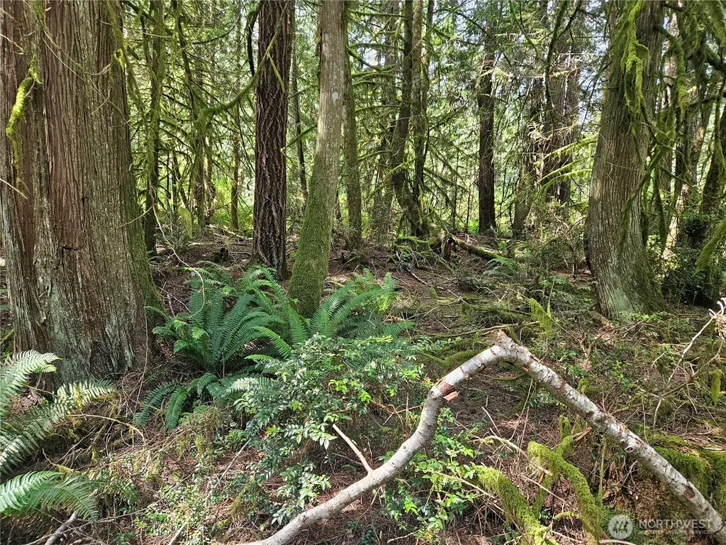 124 E Go Onna Drive Quilcene WA 98376