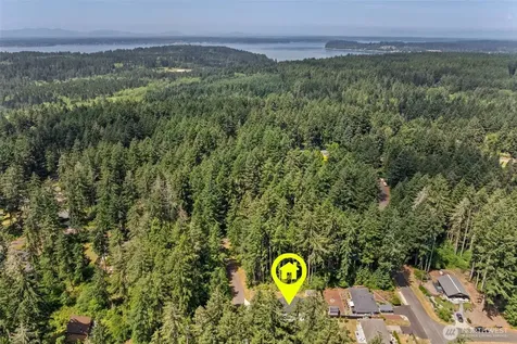 10912 118th Avenue Ct E Anderson Island WA 98303
