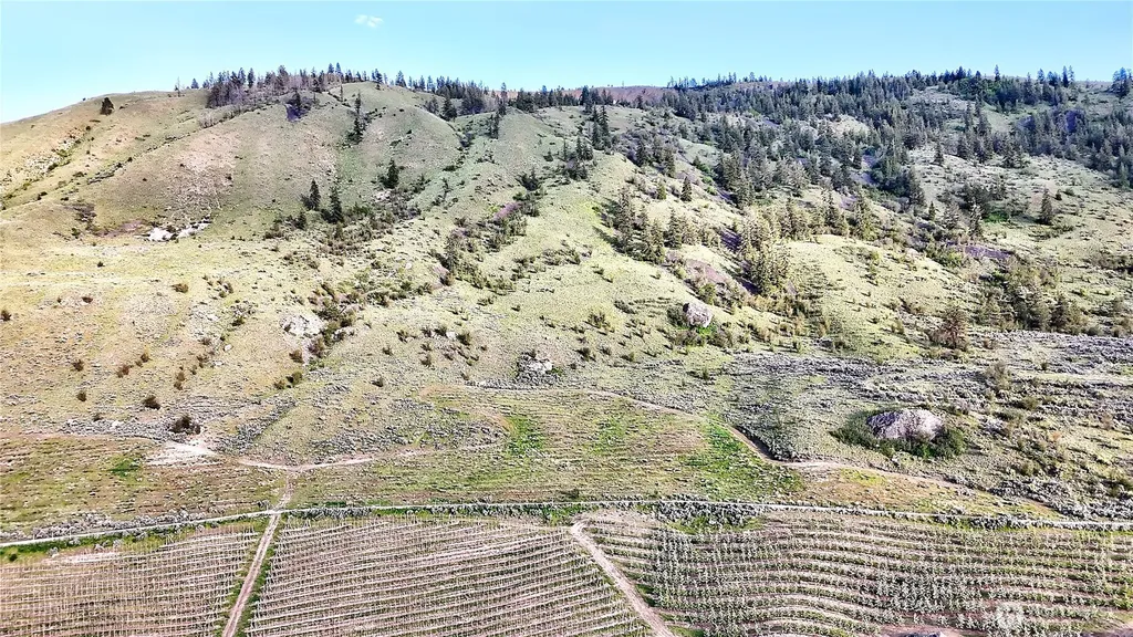 0 Farnham Canyon Road Orondo WA 98843
