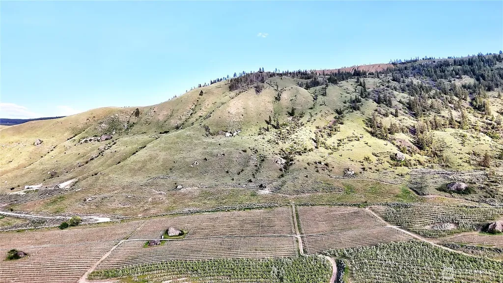 0 Farnham Canyon Road Orondo WA 98843