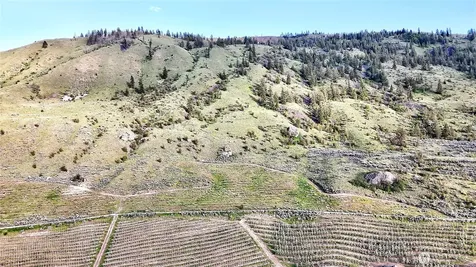 0 Farnham Canyon Road Orondo WA 98843