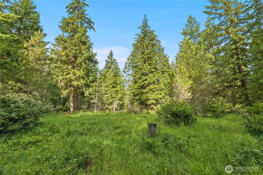 0 Westside Road Cle Elum WA 98922