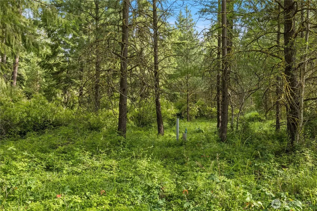 0 Westside Road Cle Elum WA 98922