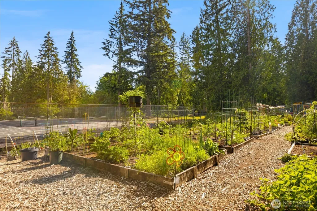 25803 SE 157th Street Issaquah WA 98027