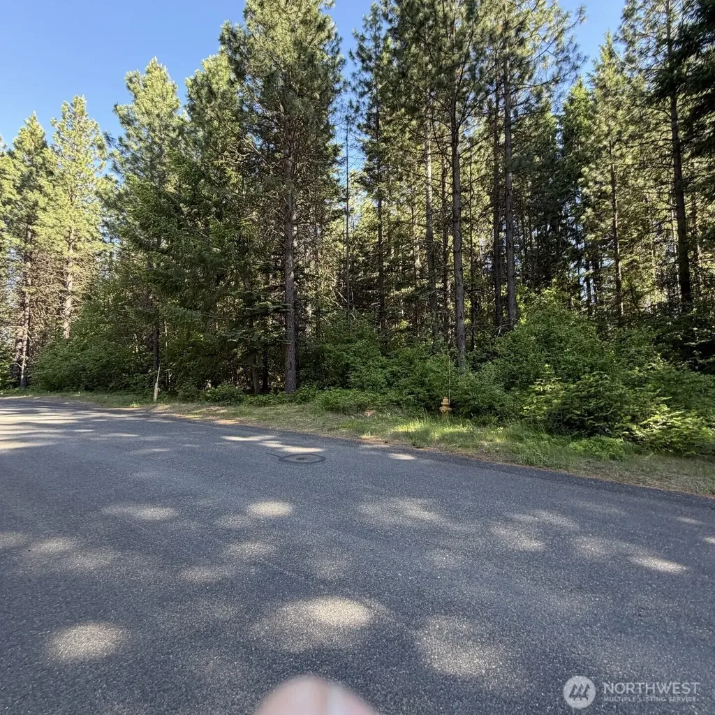 710 Iron Monarch Loop Cle Elum WA 98922