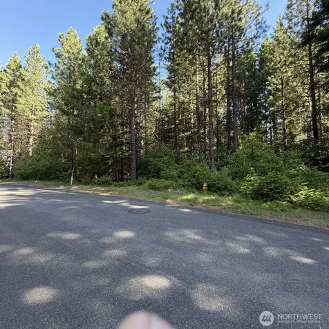 710 Iron Monarch Loop Cle Elum WA 98922