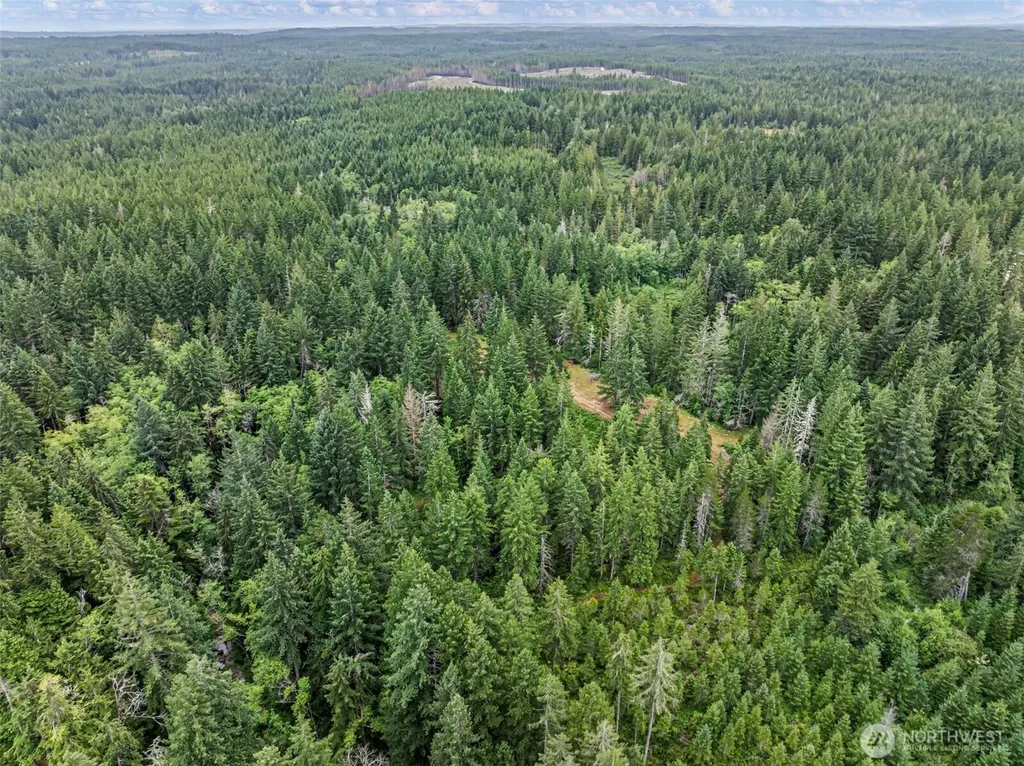 80 NE Smithy Forge Lane Belfair WA 98528