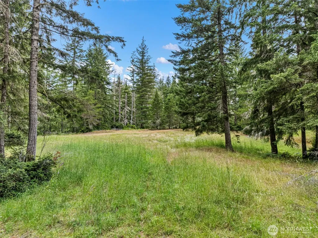 80 NE Smithy Forge Lane Belfair WA 98528